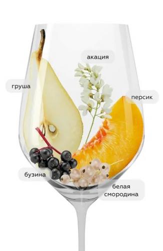 Гид по пузырькам