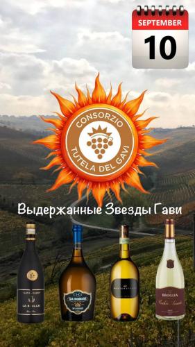 ВЕЧНЫЕ ЗВЕЗДЫ ГАВИ И СПУТНИКИ