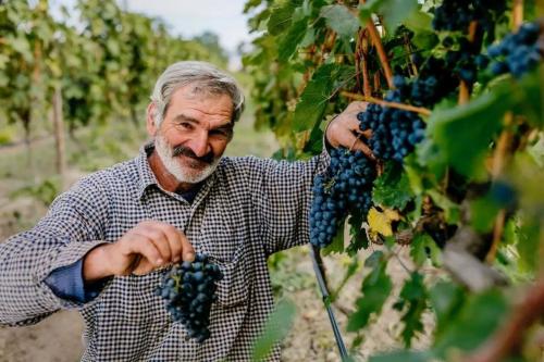 Грузия и Армения: два дома и один гость