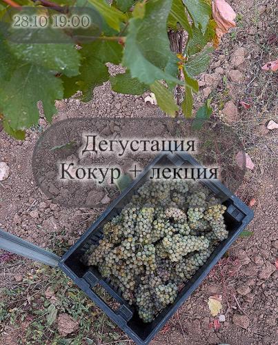 Автохтонное виноделия